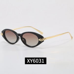20pXY6031